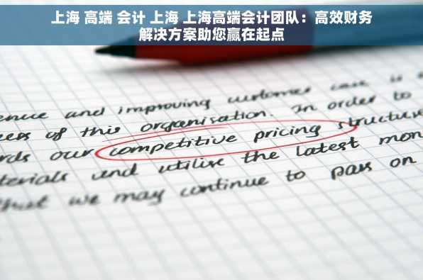 上海 高端 会计 上海 上海高端会计团队：高效财务解决方案助您赢在起点