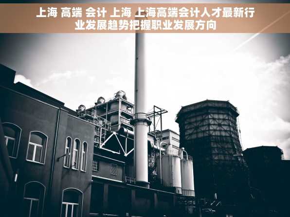 上海 高端 会计 上海 上海高端会计人才最新行业发展趋势把握职业发展方向