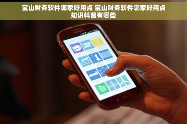 宝山财务软件哪家好用点 宝山财务软件哪家好用点知识科普有哪些