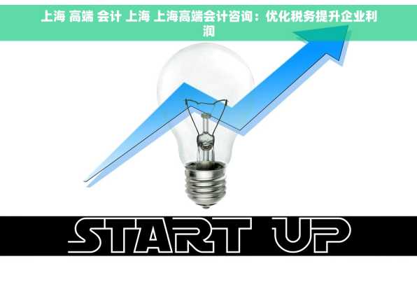上海 高端 会计 上海 上海高端会计咨询：优化税务提升企业利润