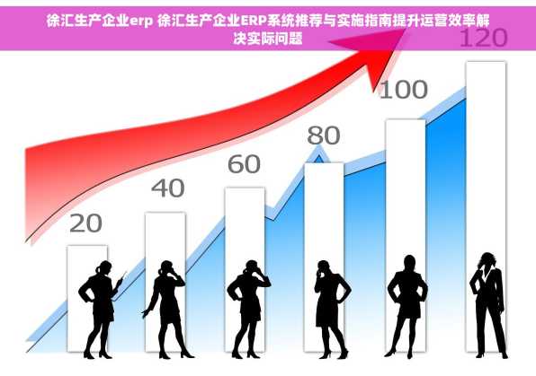 徐汇生产企业erp 徐汇生产企业ERP系统推荐与实施指南提升运营效率解决实际问题
