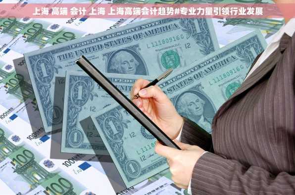 上海 高端 会计 上海 上海高端会计趋势#专业力量引领行业发展