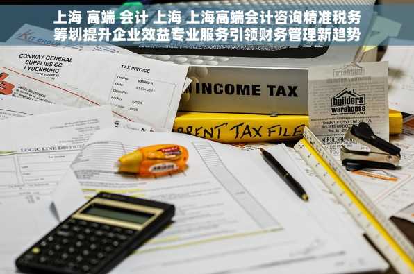 上海 高端 会计 上海 上海高端会计咨询精准税务筹划提升企业效益专业服务引领财务管理新趋势