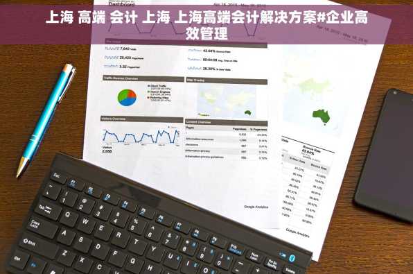 上海 高端 会计 上海 上海高端会计解决方案#企业高效管理