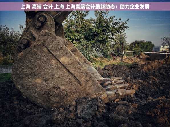 上海 高端 会计 上海 上海高端会计最新动态：助力企业发展