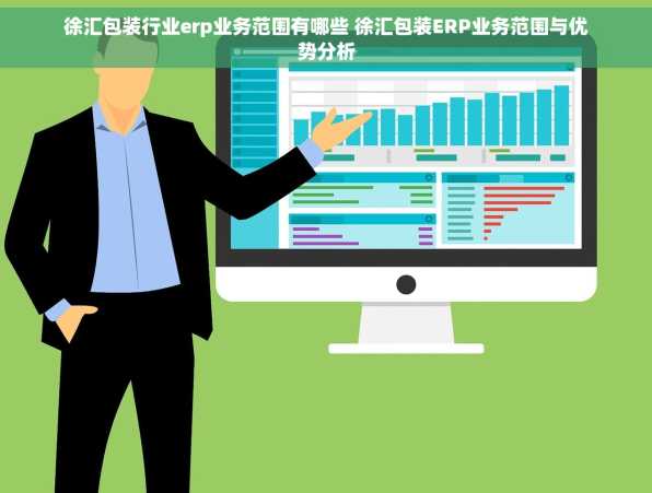 徐汇包装行业erp业务范围有哪些 徐汇包装ERP业务范围与优势分析