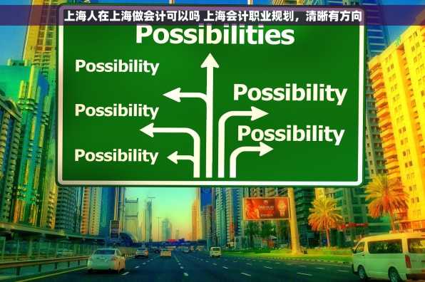上海人在上海做会计可以吗 上海会计职业规划，清晰有方向