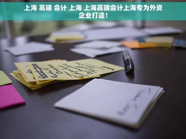 上海 高端 会计 上海 上海高端会计上海专为外资企业打造！