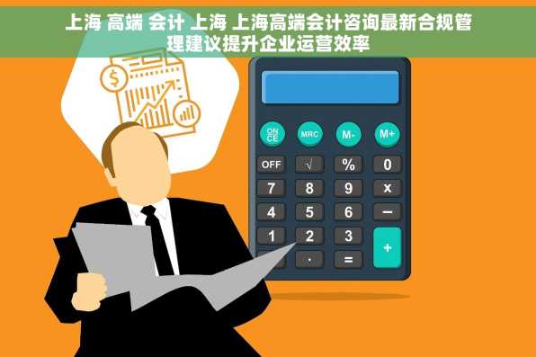 上海 高端 会计 上海 上海高端会计咨询最新合规管理建议提升企业运营效率