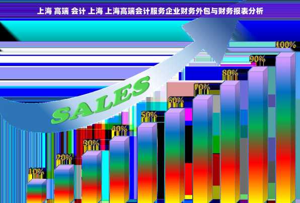 上海 高端 会计 上海 上海高端会计服务企业财务外包与财务报表分析