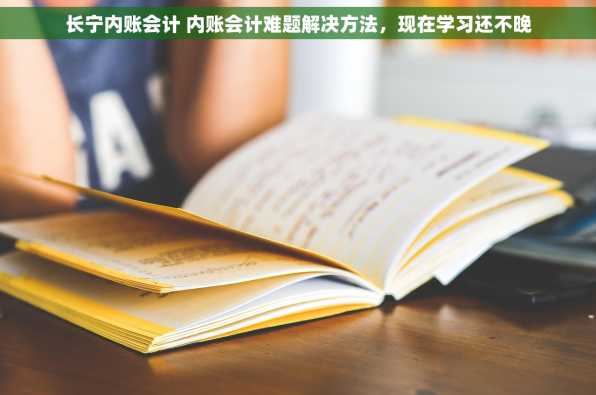 长宁内账会计 内账会计难题解决方法，现在学习还不晚