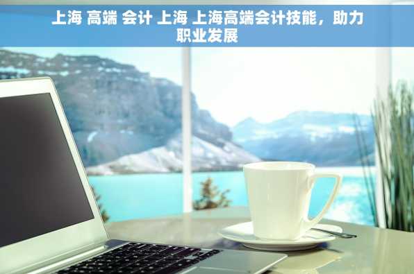 上海 高端 会计 上海 上海高端会计技能，助力职业发展
