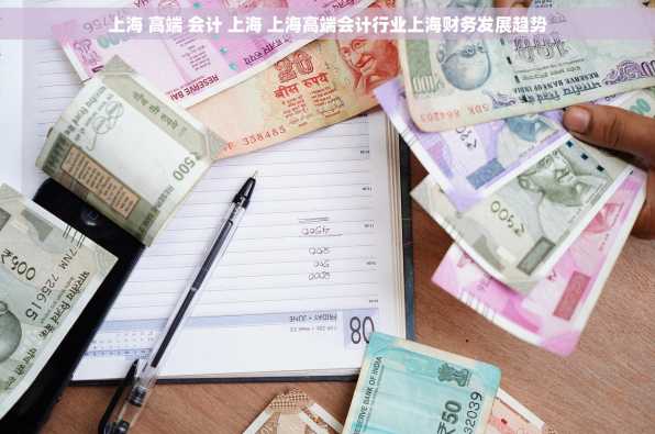 上海 高端 会计 上海 上海高端会计行业上海财务发展趋势