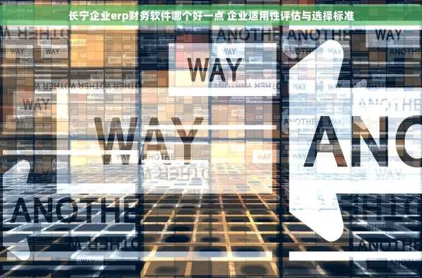 长宁企业erp财务软件哪个好一点 企业适用性评估与选择标准