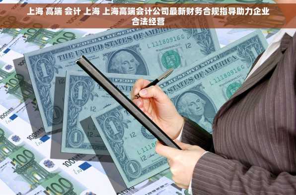 上海 高端 会计 上海 上海高端会计公司最新财务合规指导助力企业合法经营