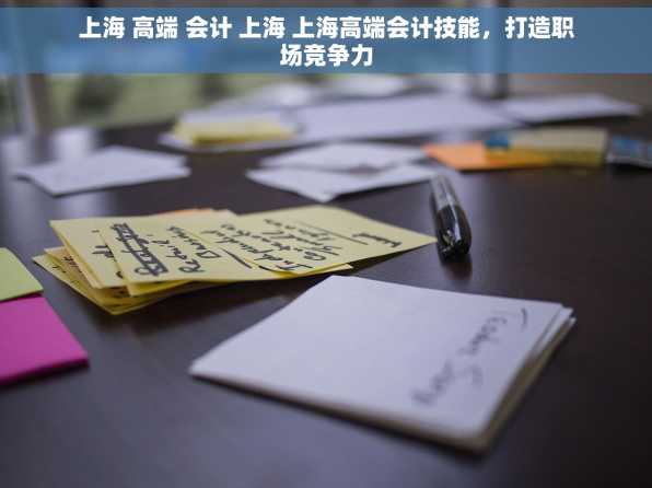 上海 高端 会计 上海 上海高端会计技能，打造职场竞争力