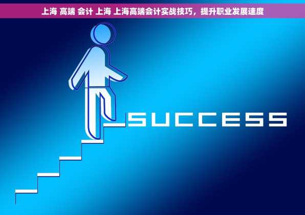 上海 高端 会计 上海 上海高端会计实战技巧，提升职业发展速度