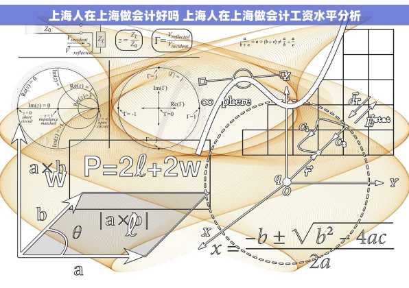 上海人在上海做会计好吗 上海人在上海做会计工资水平分析