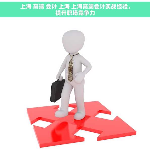上海 高端 会计 上海 上海高端会计实战经验，提升职场竞争力