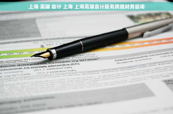上海 高端 会计 上海 上海高端会计服务跨境财务咨询