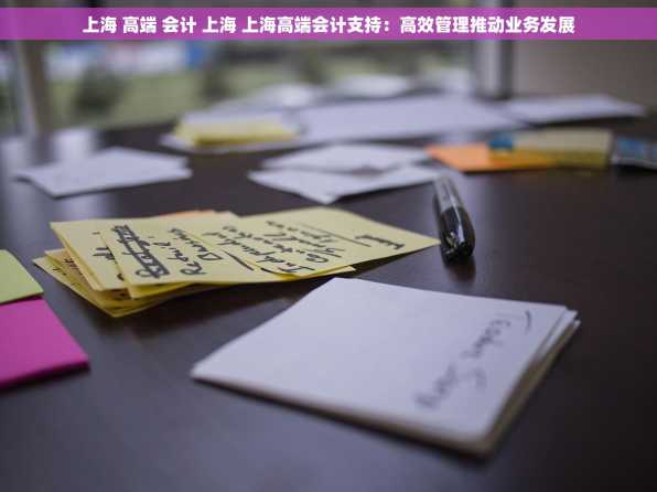 上海 高端 会计 上海 上海高端会计支持：高效管理推动业务发展