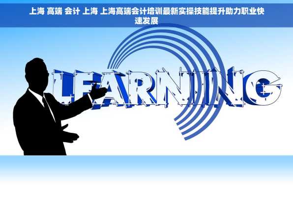 上海 高端 会计 上海 上海高端会计培训最新实操技能提升助力职业快速发展