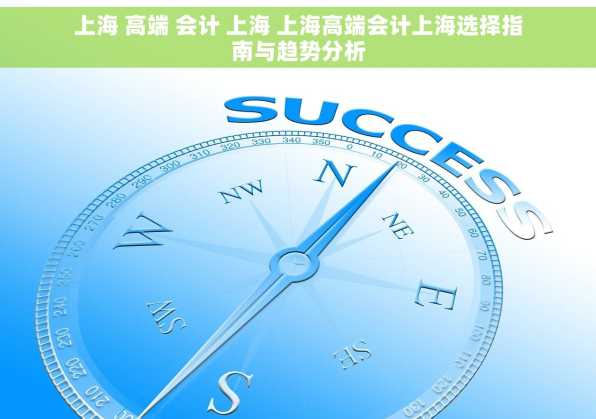 上海 高端 会计 上海 上海高端会计上海选择指南与趋势分析
