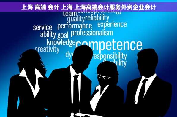 上海 高端 会计 上海 上海高端会计服务外资企业会计
