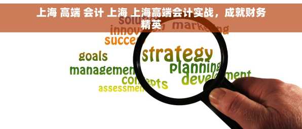 上海 高端 会计 上海 上海高端会计实战，成就财务精英
