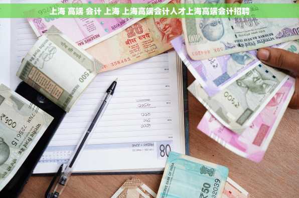 上海 高端 会计 上海 上海高端会计人才上海高端会计招聘