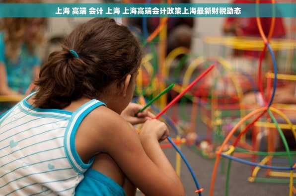 上海 高端 会计 上海 上海高端会计政策上海最新财税动态