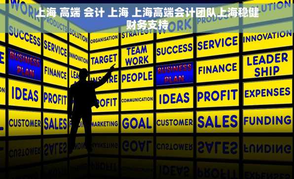 上海 高端 会计 上海 上海高端会计团队上海稳健财务支持