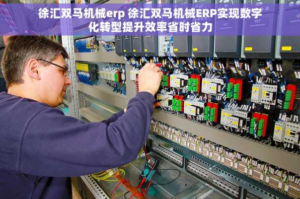 徐汇双马机械erp 徐汇双马机械ERP实现数字化转型提升效率省时省力