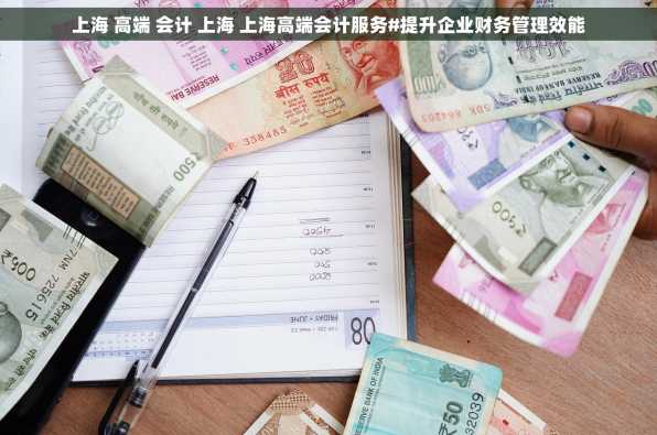 上海 高端 会计 上海 上海高端会计服务#提升企业财务管理效能