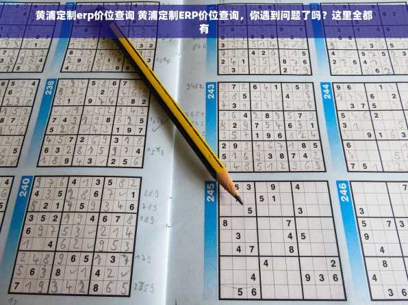 黄浦定制erp价位查询 黄浦定制ERP价位查询，你遇到问题了吗？这里全都有
