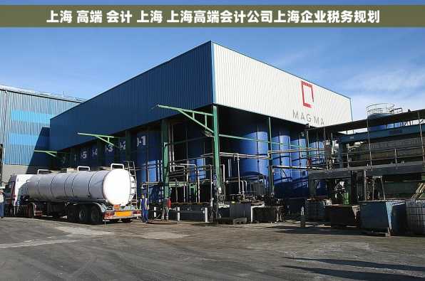 上海 高端 会计 上海 上海高端会计公司上海企业税务规划