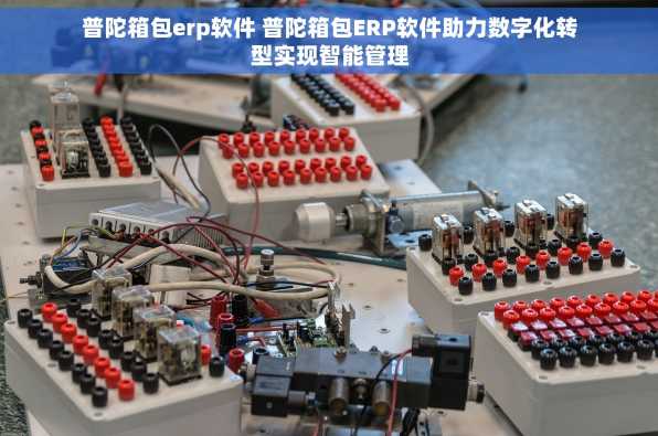 普陀箱包erp软件 普陀箱包ERP软件助力数字化转型实现智能管理