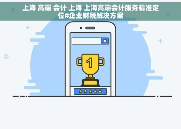 上海 高端 会计 上海 上海高端会计服务精准定位#企业财税解决方案