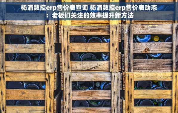 杨浦数控erp售价表查询 杨浦数控erp售价表动态：老板们关注的效率提升新方法