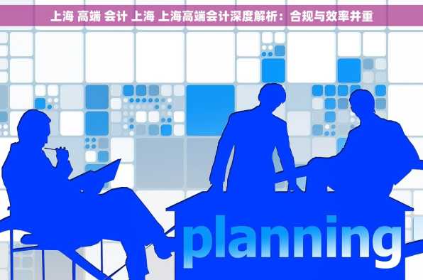 上海 高端 会计 上海 上海高端会计深度解析：合规与效率并重