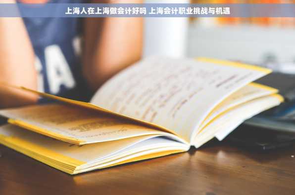 上海人在上海做会计好吗 上海会计职业挑战与机遇