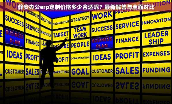 静安办公erp定制价格多少合适呢？最新解答与全面对比