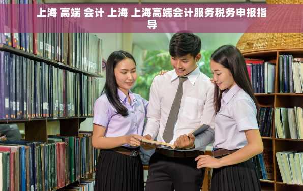 上海 高端 会计 上海 上海高端会计服务税务申报指导