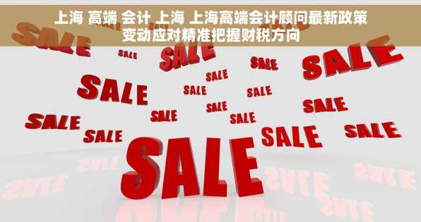 上海 高端 会计 上海 上海高端会计顾问最新政策变动应对精准把握财税方向