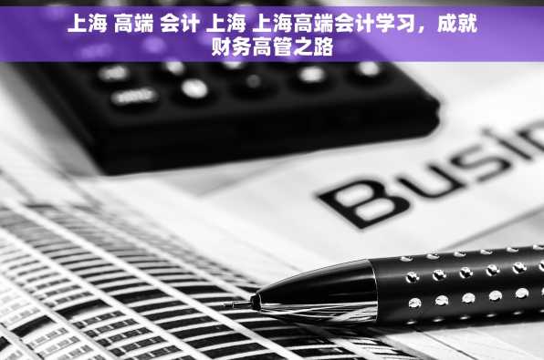上海 高端 会计 上海 上海高端会计学习，成就财务高管之路
