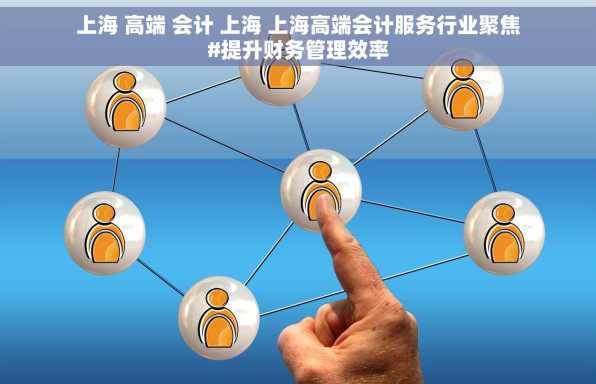 上海 高端 会计 上海 上海高端会计服务行业聚焦#提升财务管理效率