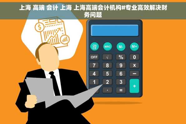 上海 高端 会计 上海 上海高端会计机构#专业高效解决财务问题