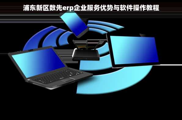 浦东新区数先erp企业服务优势与软件操作教程