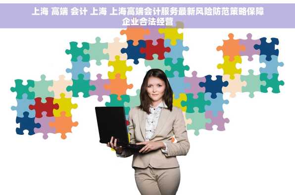 上海 高端 会计 上海 上海高端会计服务最新风险防范策略保障企业合法经营