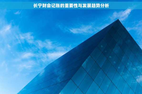 长宁财会记账的重要性与发展趋势分析